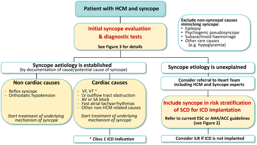 肥厚型心肌病暈厥如何診斷和管理，看看專家共識怎么說