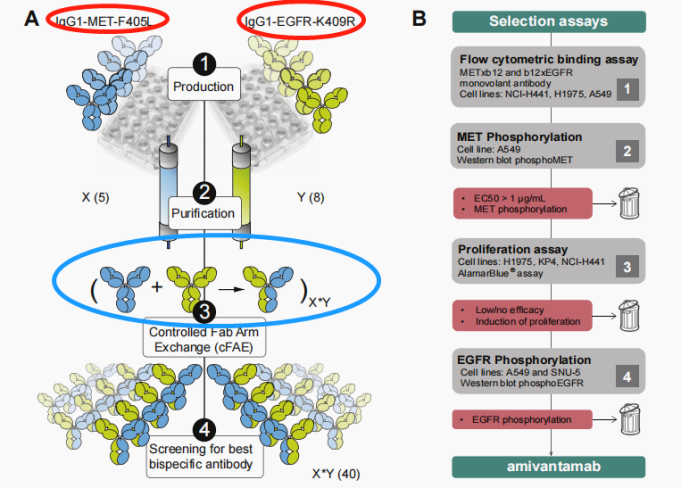 2022年終盤(pán)點(diǎn) | NSCLC靶向治療之EGFR篇