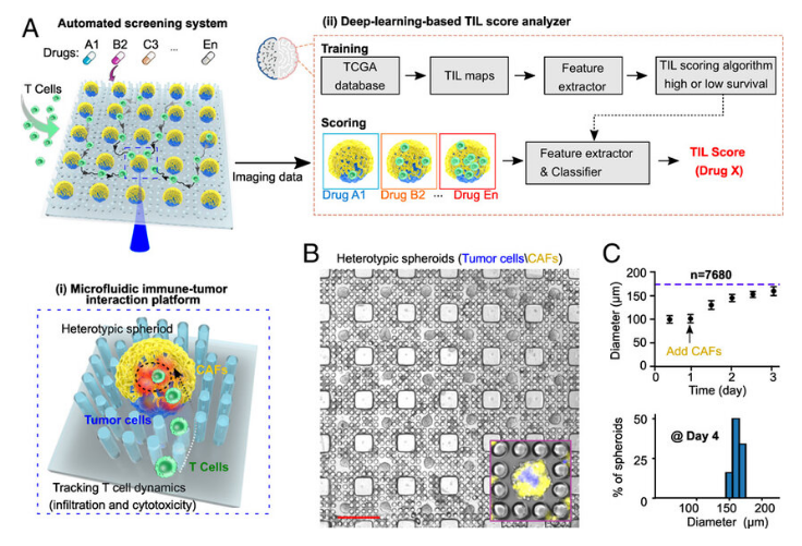 2022年終盤點：人工智能如何改善人類健康？
