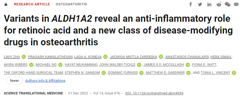 Science子刊：新研究表明他拉羅唑有望能夠預(yù)防骨關(guān)節(jié)炎