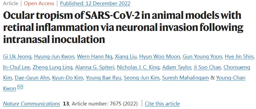Nat Commun：動物研究揭示新冠病毒可以感染眼睛