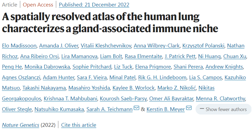 Nat Genet：構(gòu)建出人體肺部的空間多組學(xué)細(xì)胞圖譜，發(fā)現(xiàn)了11種新的肺細(xì)胞類型