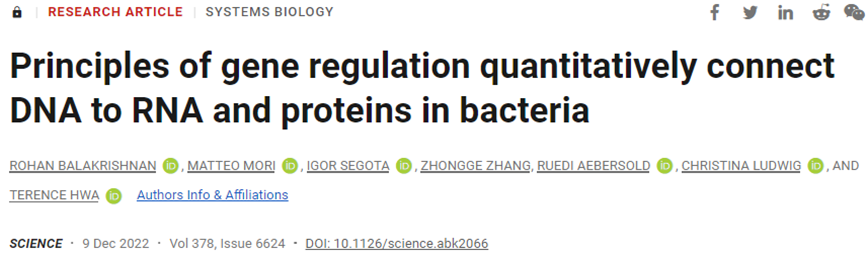 Science：改寫教科書！大腸桿菌的基因表達變化幾乎完全發(fā)生在細(xì)胞生長時的轉(zhuǎn)錄階段