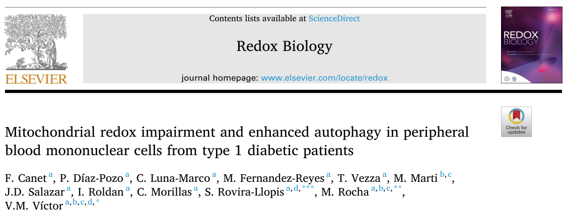 Redox Biology : I型糖尿病損害了線粒體的功能，促進了白細(xì)胞的氧化應(yīng)激和自噬