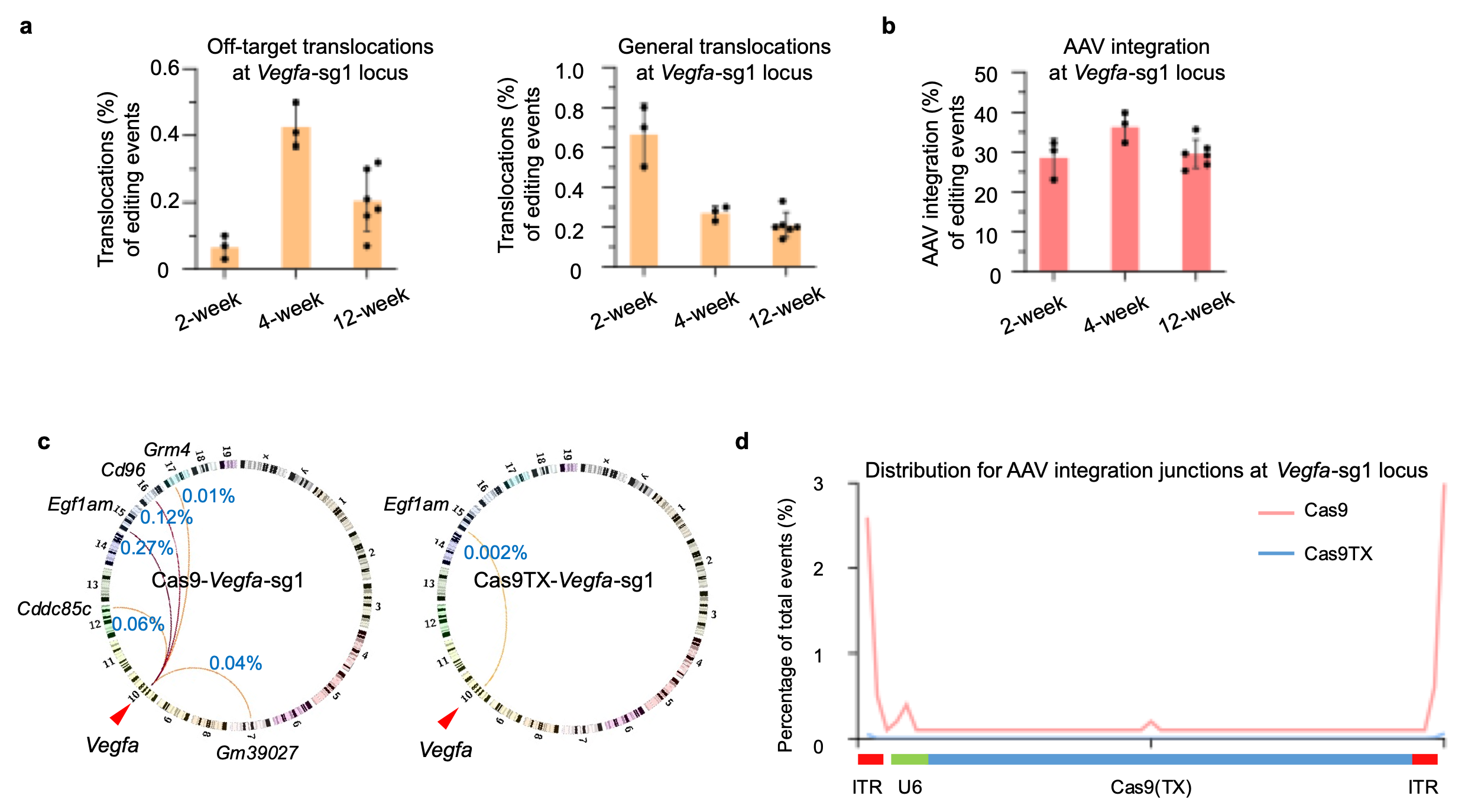 Nature Communications:利用Cas9TX在年齡性黃斑病變小鼠模型中實現(xiàn)高效且安全的基因編輯