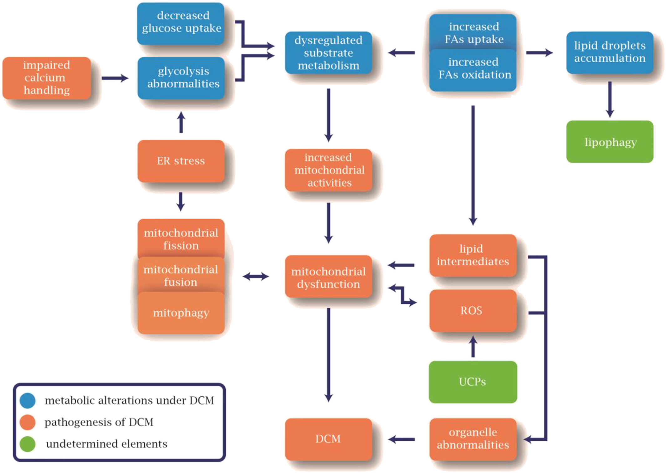 1673320911897192.jpg ehf214224-fig-0002-m.jpg