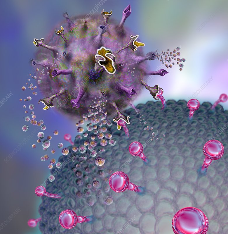 2022年最受關(guān)注的癌癥研究